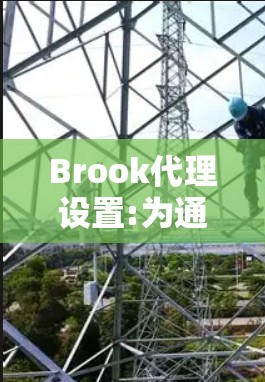 Brook代理设置:为通信网络优化配置管理