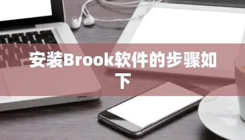 安装Brook软件的步骤如下 安装Brook软件的步骤如下