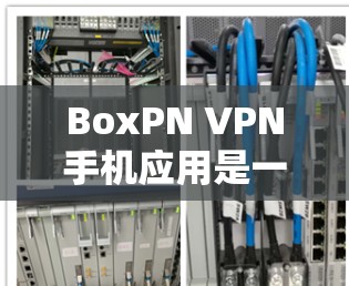 BoxPN VPN手机应用是一个功能强大的选项，适合需要在多个平台上使用VPN的用户。以下是对BoxPN的详细分析和总结