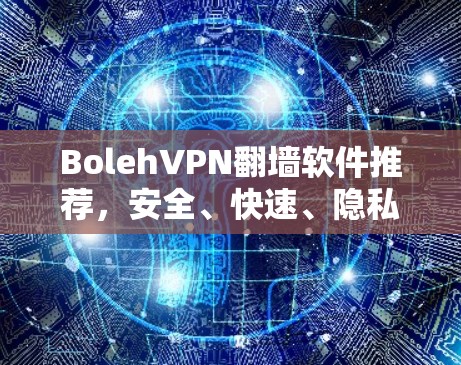 BolehVPN翻墙软件推荐，安全、快速、隐私保护