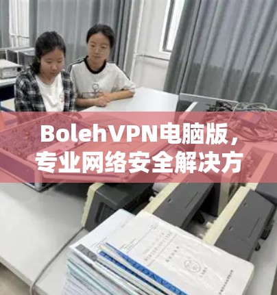 BolehVPN电脑版，专业网络安全解决方案
