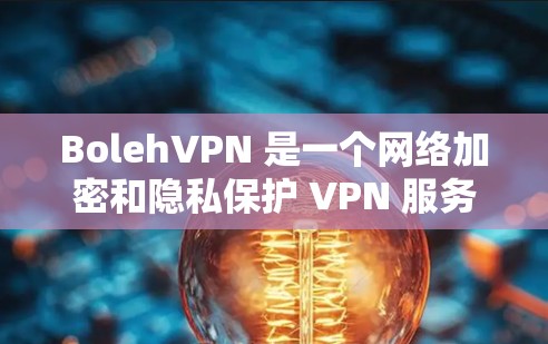 BolehVPN 是一个网络加密和隐私保护 VPN 服务，用户可以通过官网或应用商店检查最新版本