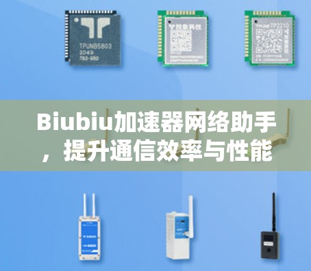 Biubiu加速器网络助手，提升通信效率与性能