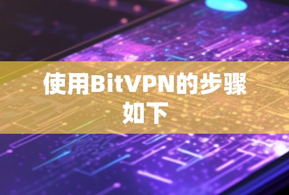 使用BitVPN的步骤如下