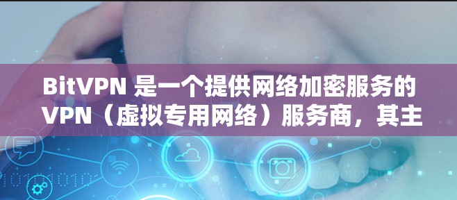 BitVPN 是一个提供网络加密服务的 VPN（虚拟专用网络）服务商，其主要功能是通过建立安全的网络连接，保护用户的隐私和数据安全。以下是 BitVPN 的一些主要功能和特点，供用户评测和参考