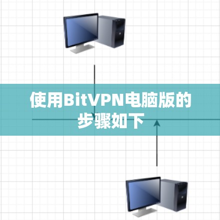 使用BitVPN电脑版的步骤如下