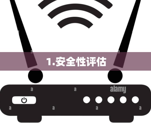 1.安全性评估