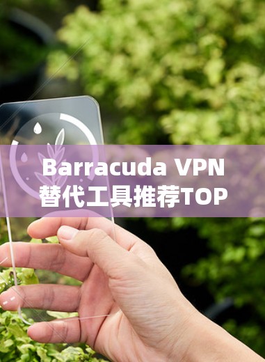 Barracuda VPN替代工具推荐TOP5