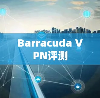 Barracuda VPN评测