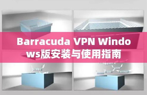 Barracuda VPN Windows版安装与使用指南