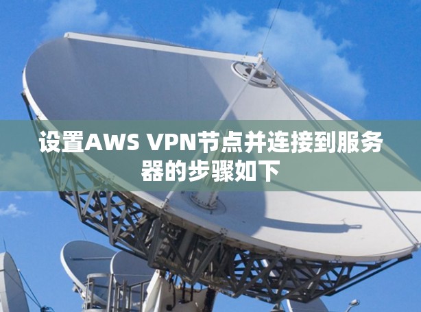 设置AWS VPN节点并连接到服务器的步骤如下