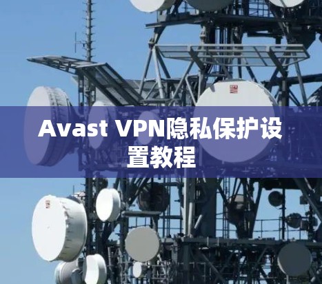 Avast VPN隐私保护设置教程