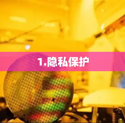 1.隐私保护