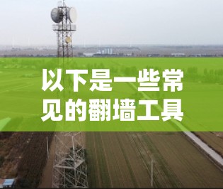 以下是一些常见的翻墙工具和方法，供你参考