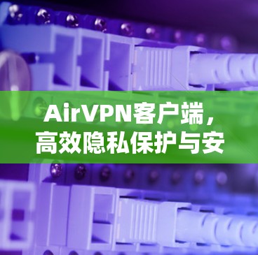 AirVPN客户端，高效隐私保护与安全连接解决方案