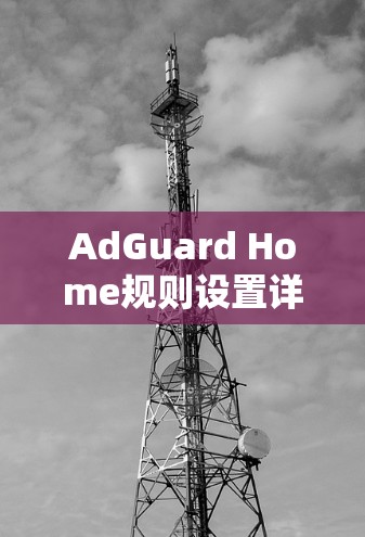 AdGuard Home规则设置详解 AdGuard Home规则设置详解