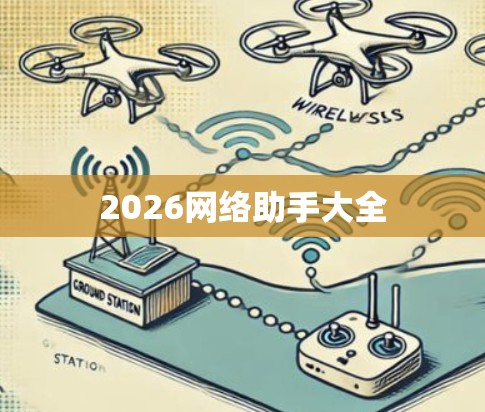 2026网络助手大全