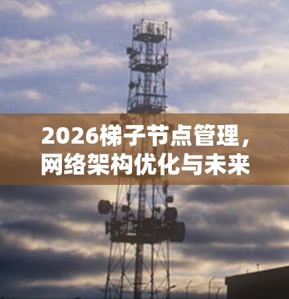 2026梯子节点管理，网络架构优化与未来趋势分析