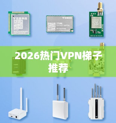 2026热门VPN梯子推荐