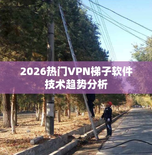 2026热门VPN梯子软件技术趋势分析