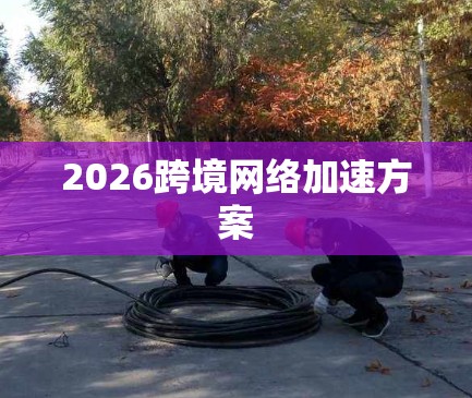 2026跨境网络加速方案
