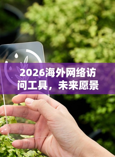 2026海外网络访问工具，未来愿景与技术趋势
