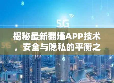 揭秘最新翻墙APP技术，安全与隐私的平衡之道