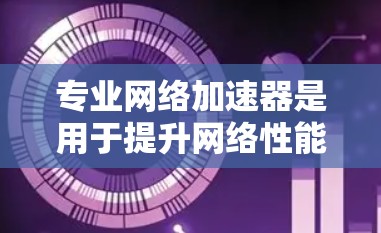 专业网络加速器是用于提升网络性能的工具，主要通过减少延迟、提高带宽利用率或优化数据传输来加速互联网连接。根据具体需求和应用场景，网络加速器可以分为以下几类