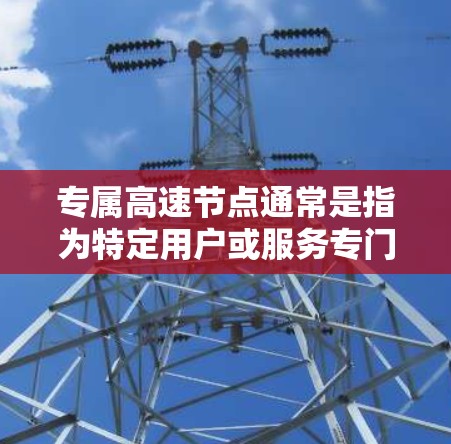 专属高速节点通常是指为特定用户或服务专门创建的高速网络节点。这些节点提供了更高的带宽、更低的延迟和更高的可靠性，确保关键任务能够快速、高效地完成。以下是对专属高速节点的详细分析