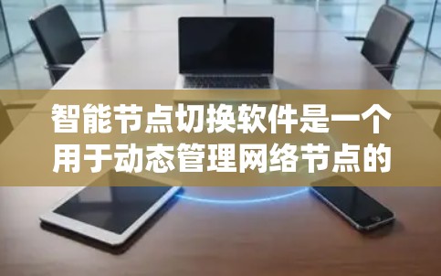 智能节点切换软件是一个用于动态管理网络节点的系统，旨在确保网络的高可用性和稳定性。以下是对该软件的详细分析和总结