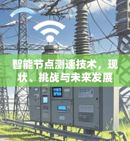 智能节点测速技术,现状、挑战与未来发展展望