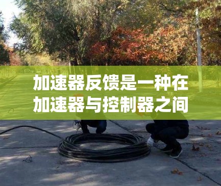 加速器反馈是一种在加速器与控制器之间实现实时数据交互的机制，旨在提升系统性能。以下是对加速器反馈的详细分析