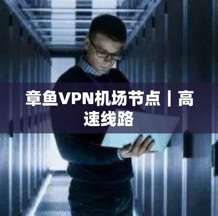 章鱼VPN机场节点｜高速线路