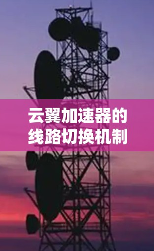 云翼加速器的线路切换机制是一个复杂而高效的系统，旨在动态调整数据传输路径以优化网络性能。以下是其关键组成部分