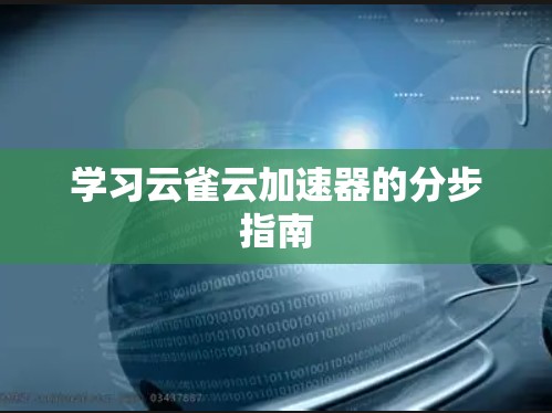 学习云雀云加速器的分步指南