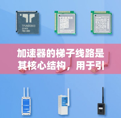 加速器的梯子线路是其核心结构，用于引导粒子沿特定路径运动并加速。以下是对梯子线路的系统化总结