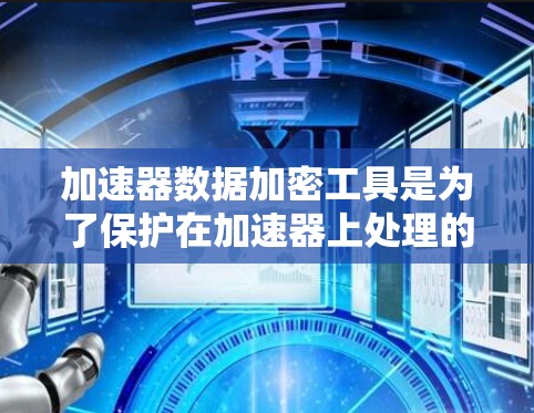 加速器数据加密工具是为了保护在加速器上处理的数据安全而设计的解决方案。以下是对这一工具的详细分析和建议