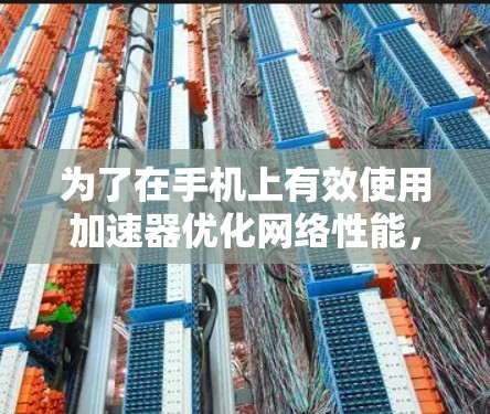 为了在手机上有效使用加速器优化网络性能，可以按照以下步骤进行